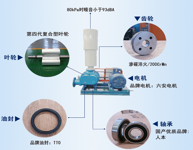 羅茨鼓風(fēng)機(jī)各部件說(shuō)明